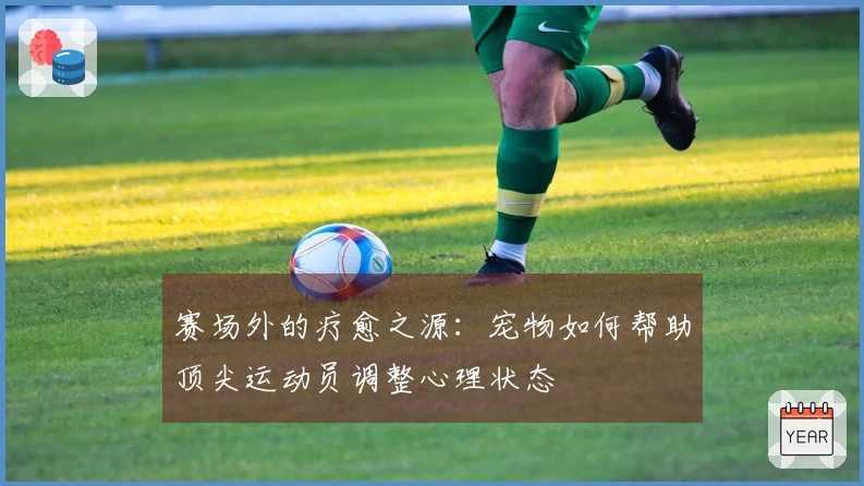 赛场外的疗愈之源：宠物如何帮助顶尖运动员调整心理状态